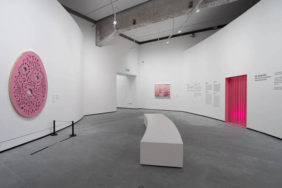 “色彩之巅！法国蓬皮杜中心馆藏艺术大师特展”在北京民生现代美术馆开幕_腾讯新闻