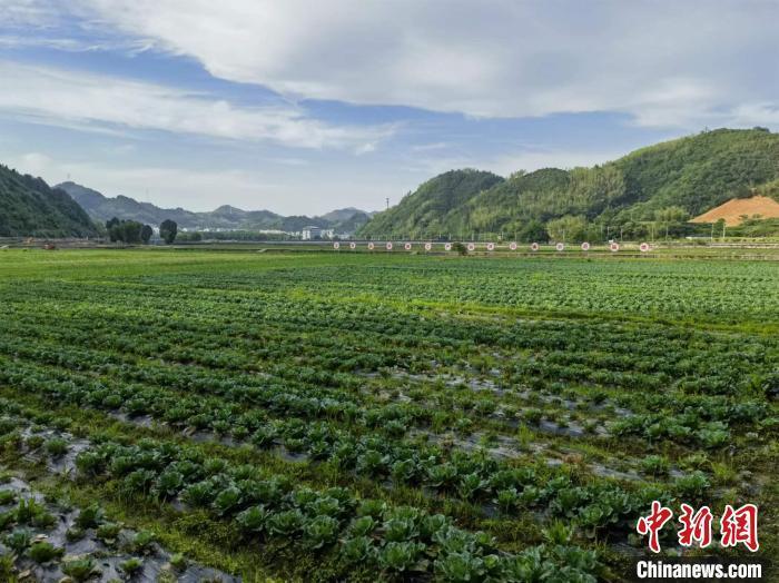 山里的奔头:浙江淳安借力协作破山区县之困