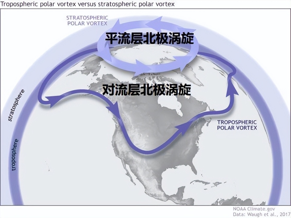 紫色涡旋月底再回西伯利亚，过年极端寒冷再来？超算：还有待观察_腾讯新闻