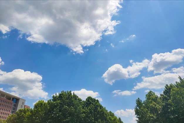 "最怕入伏日头烈",今日7月15日入伏,晴天啥讲究?农谚有答案