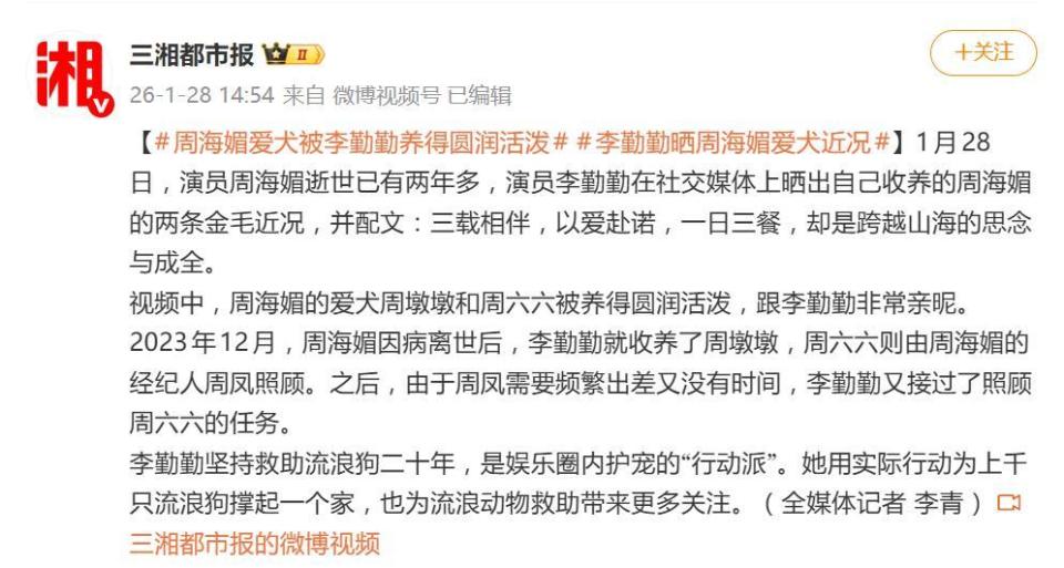 周海媚爱犬被李勤勤养得圆润活泼，李勤勤晒周海媚爱犬近况_腾讯新闻