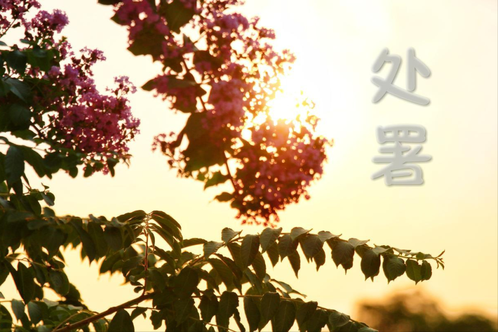 下周日处暑，今年处暑不一般，三大特殊，3类人要注意，有你吗？_腾讯新闻