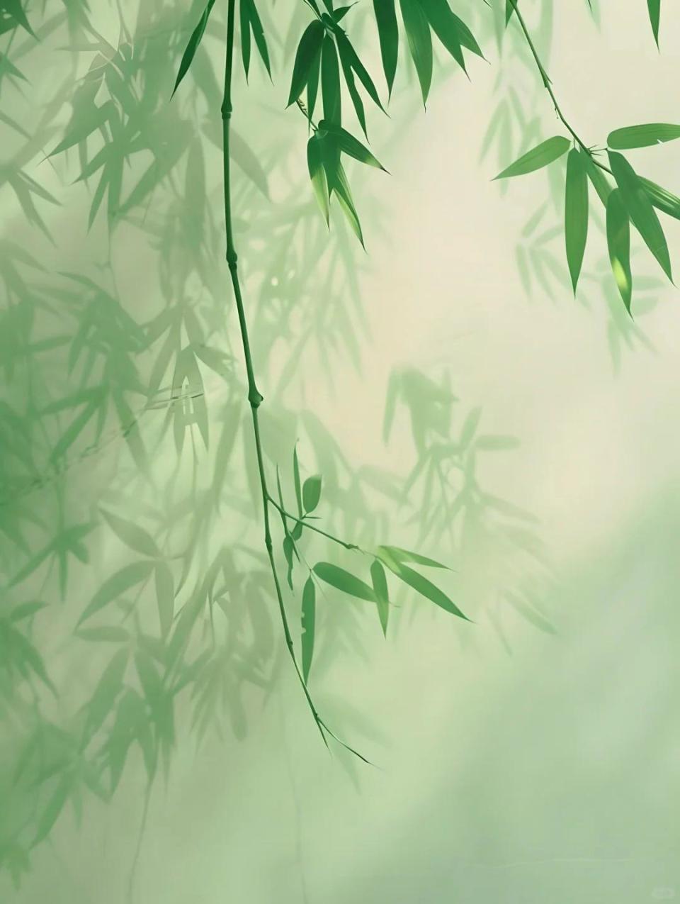 36句竹林美景诗句:所到之处明净透彻