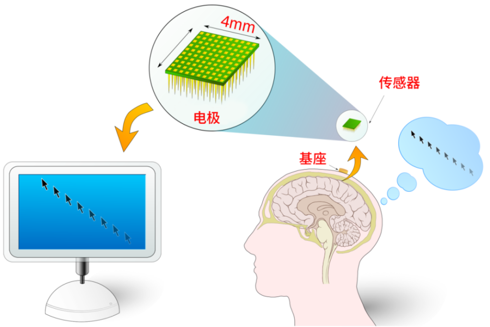 脑控身体会怎么样 脑控对人的身体有哪些影响