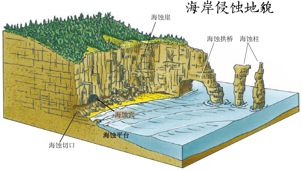 广东省东海岛东部的海滩长度超20千米,被誉为"中国第一长滩"