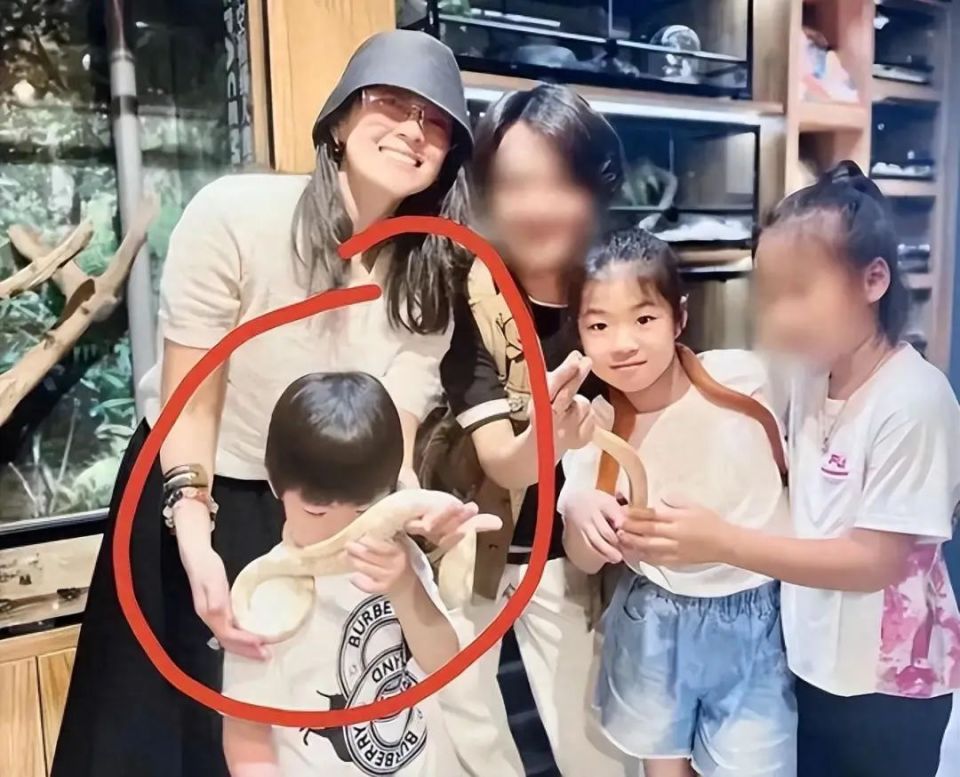 同样是汪峰的基因,章子怡和葛荟婕的女儿近照,差别怎么这么大