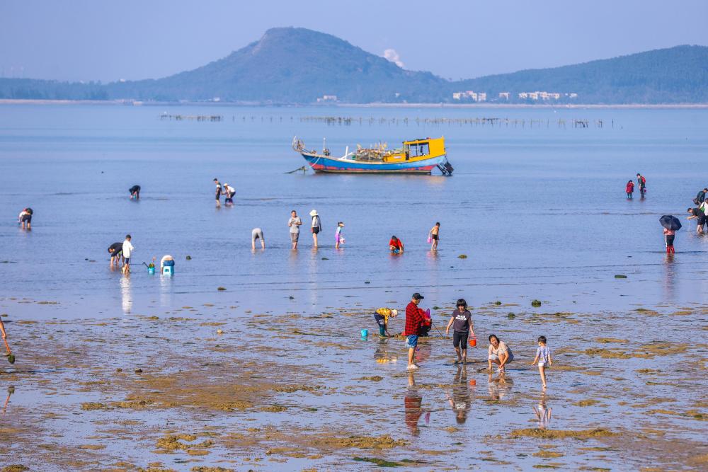 广东过大年海陵岛体验赶海感受别样春节休闲方式