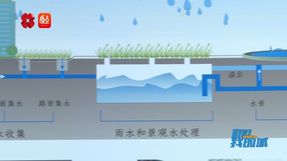 你好 我的城丨海绵城市 逐"绿"而兴