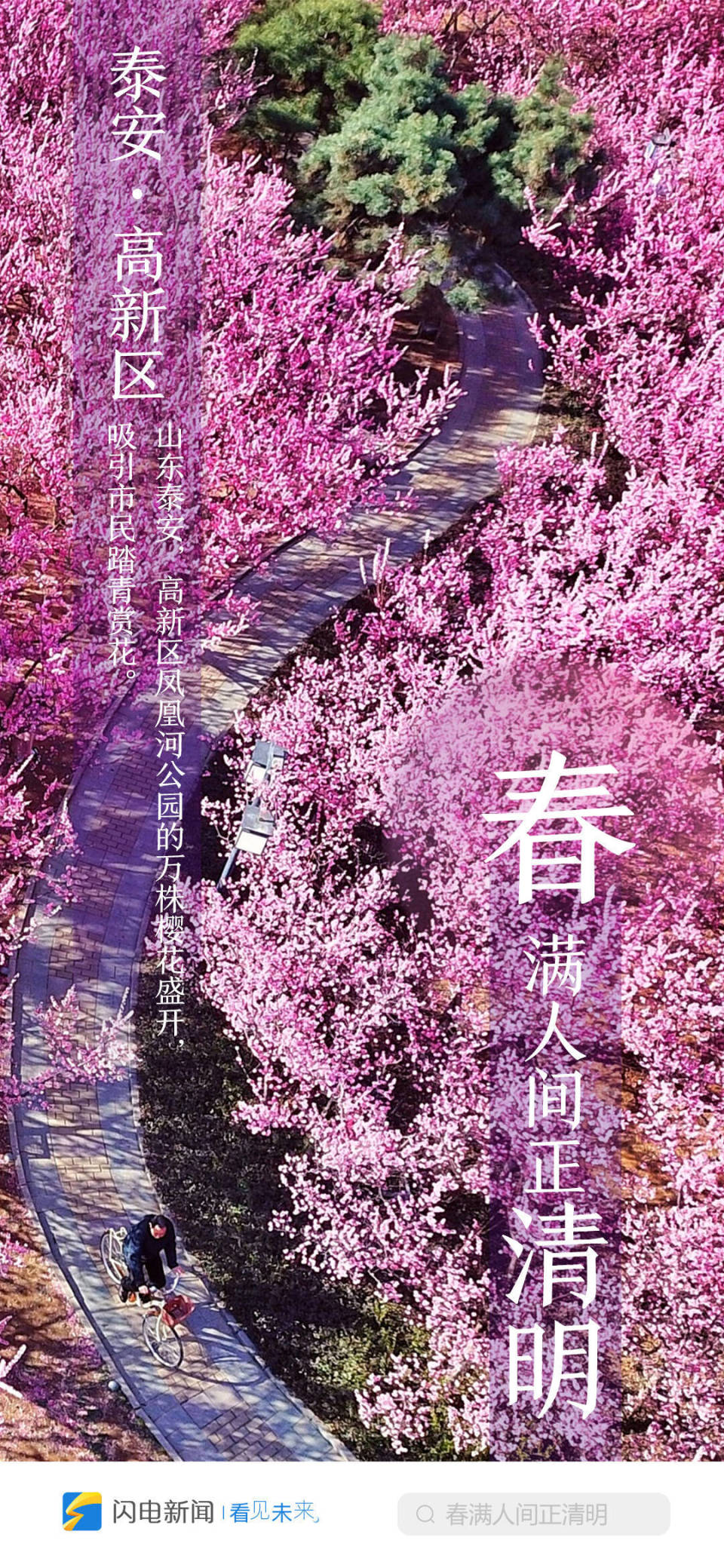 闪电海报|春满人间正清明 云游齐鲁打卡赏花