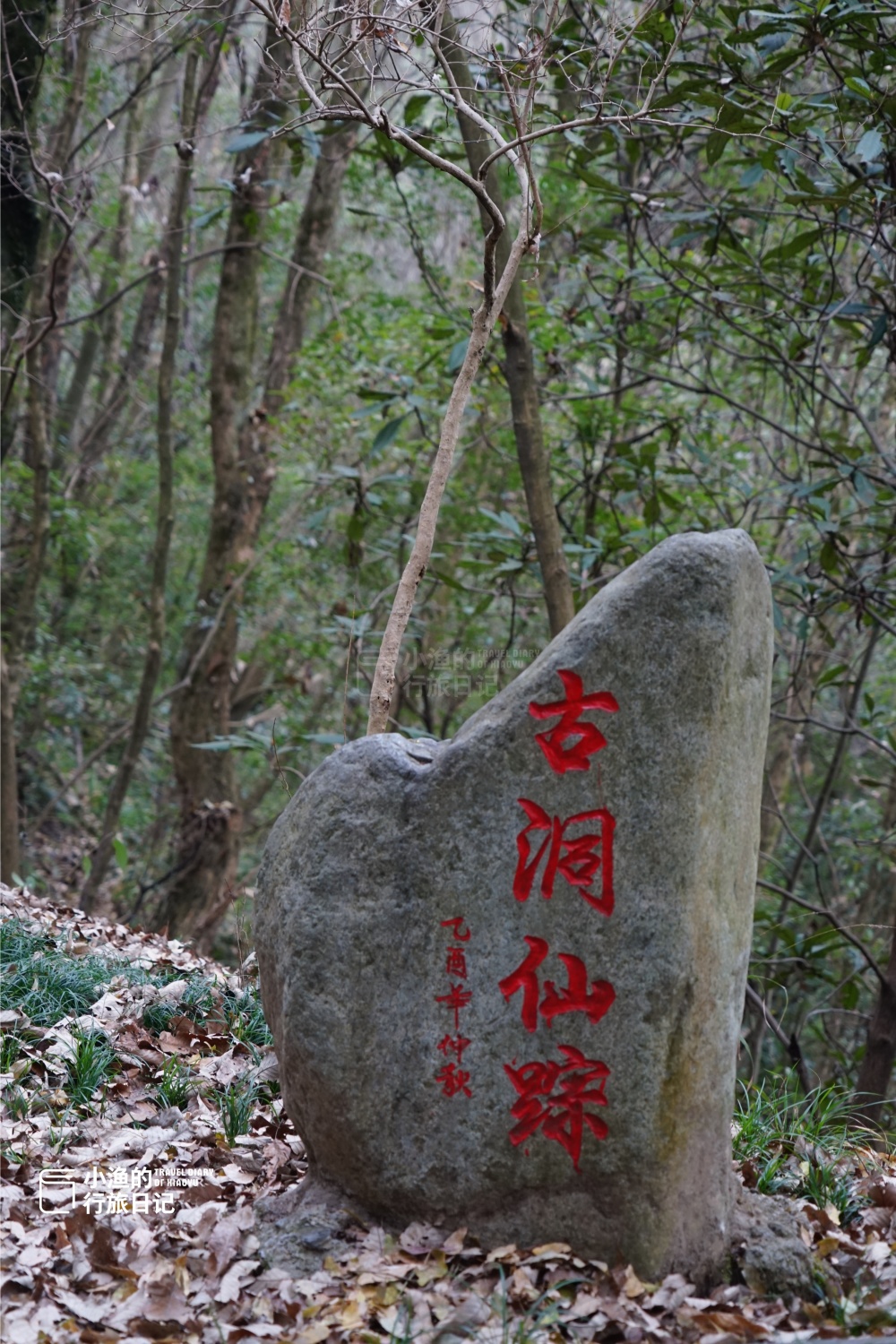 又美又仙,免费开放_腾讯新闻