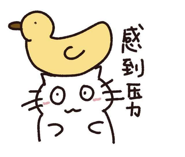 厦门普高录取线,全省最高?志愿填报明天结束!看完这些再提交