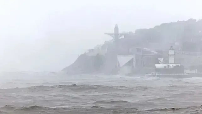 台风“巴威”在浙江台州玉环登陆，中心附近最大风力13级