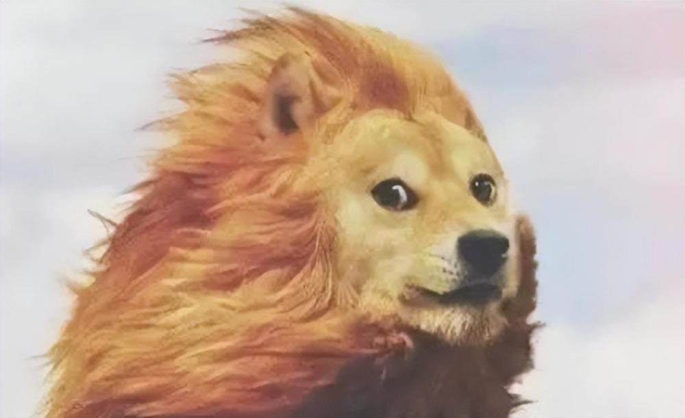 口服激动剂启动III期肥胖症糖尿病患者转氨酶升高