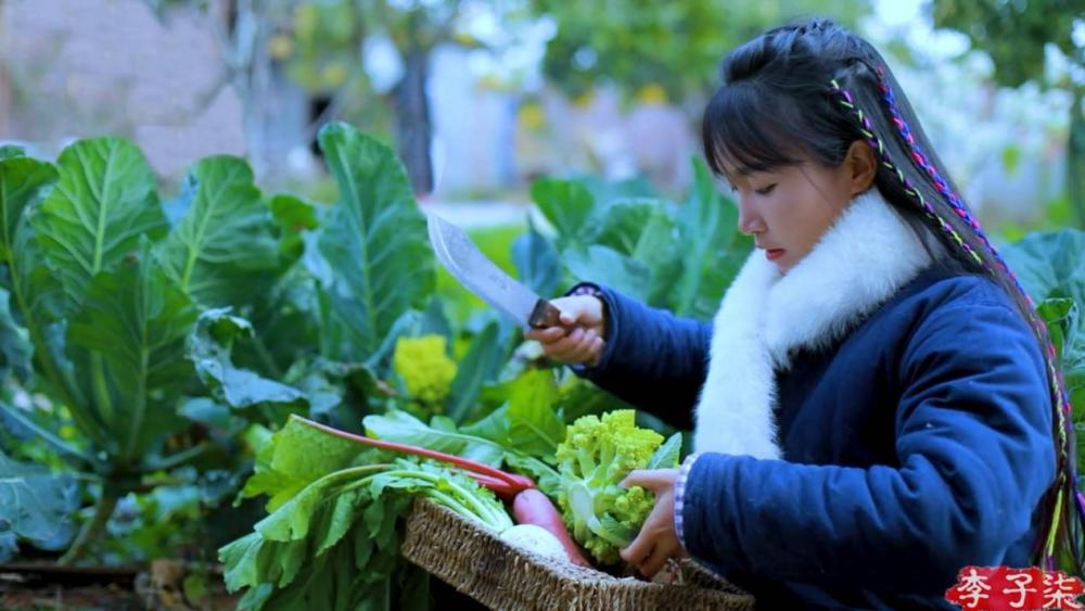 李子柒做不好“李子柒”学剑桥英语有用吗