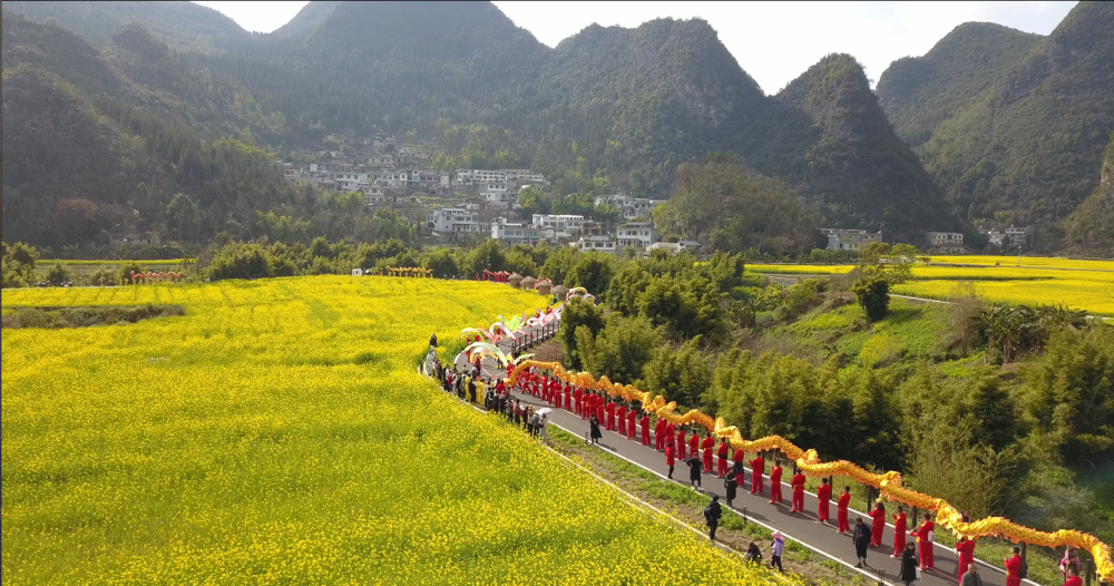 兴义市万峰林万亩花海图片