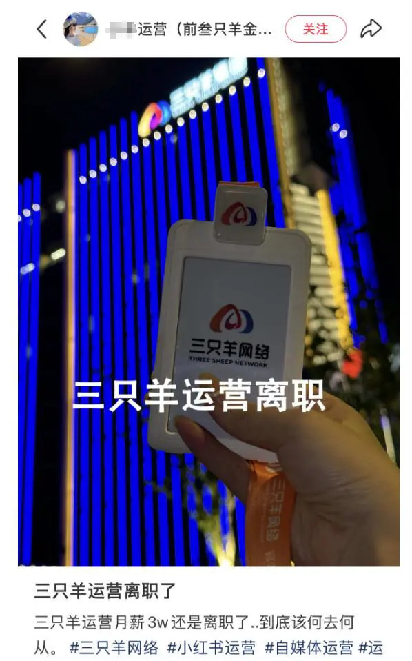 三只羊现状曝光！员工陆续离职，公司里空无一人，小杨哥复出无望_腾讯新闻