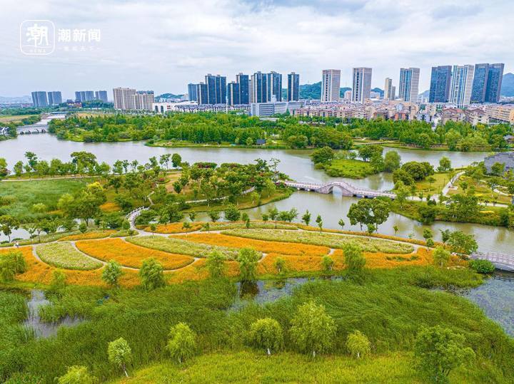 打卡温岭城市花海