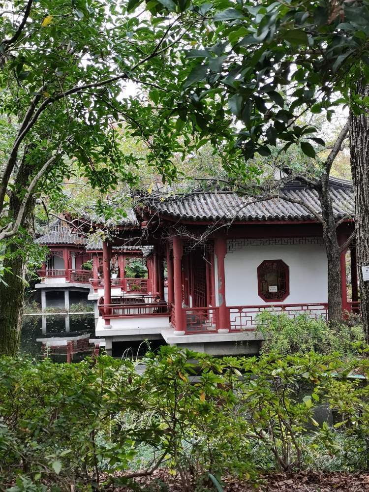 奉贤五a景区古华园美景如画