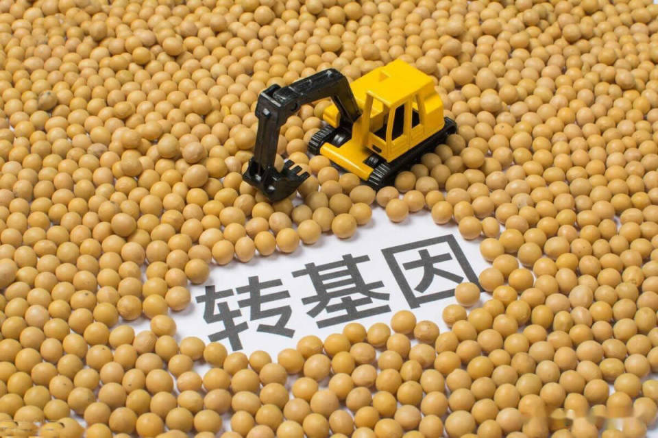 德国为何双标?拒绝含转基因的中国螺蛳粉,却要美国转基因大豆