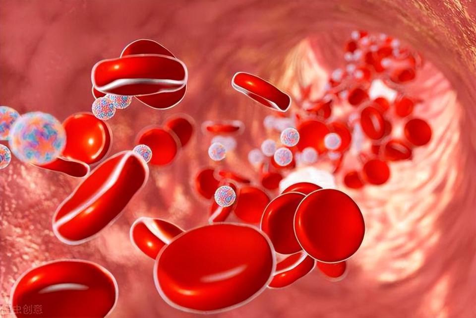 为什么查全自动血细胞为啥体检要查血常规？详细解读健康的“晴雨表”_https://www.jmylbn.com_新闻资讯_第4张