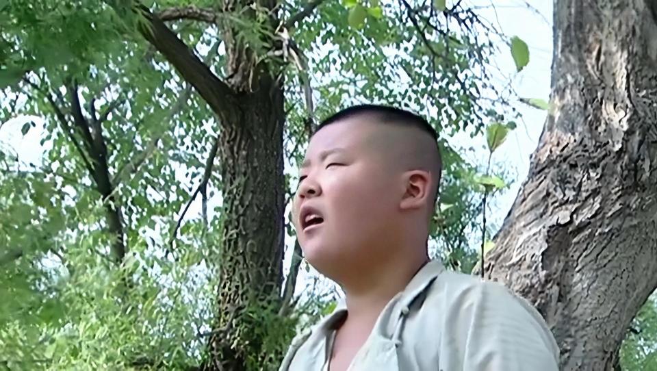 《小兵张嘎》的演员现状,嘎子哥沦为绿叶,时隔20年谁变化最大?