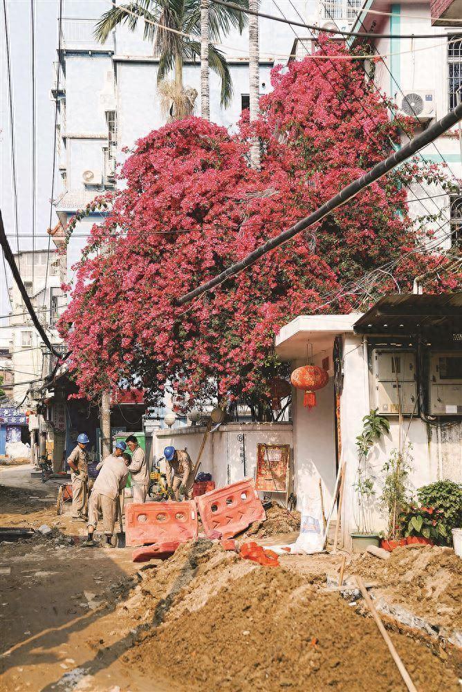 涉及教育,医疗,养老等15项!思明区公布2024年为民办实事工作计划