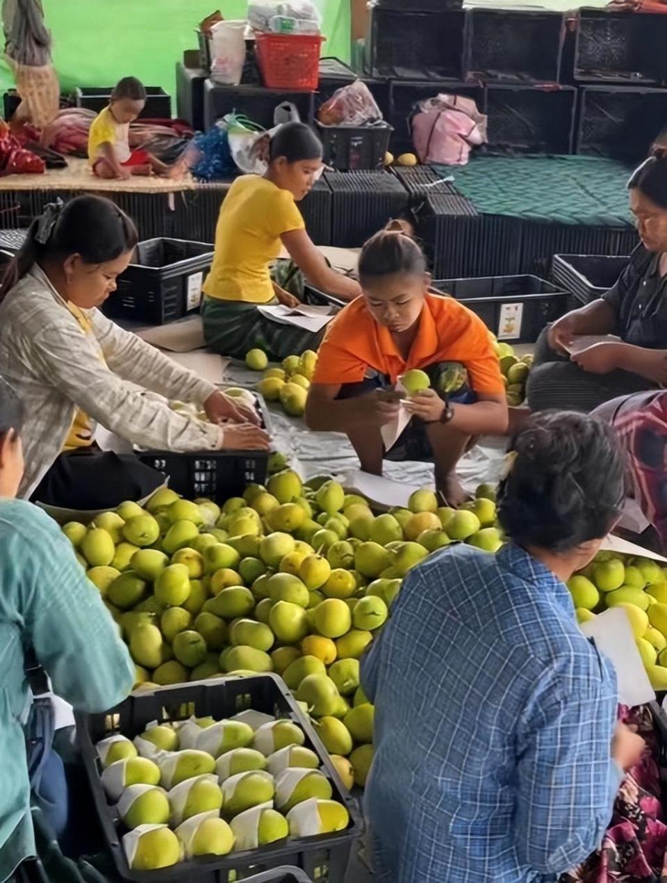 我,长于中缅边境,中缅通婚很普遍,但骗子也多,见过很多受害者