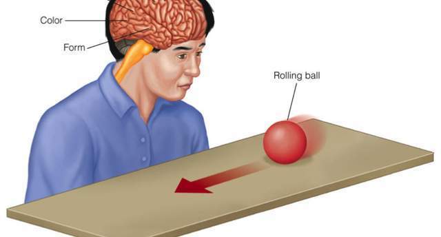 意识的本质是什么，它是如何从大脑里产生的？_腾讯新闻
