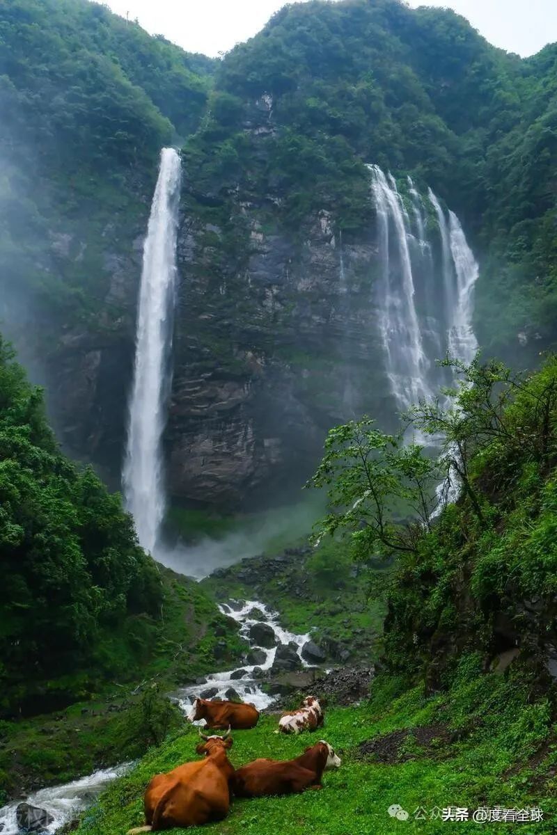 纳雍县旅游景点介绍图片