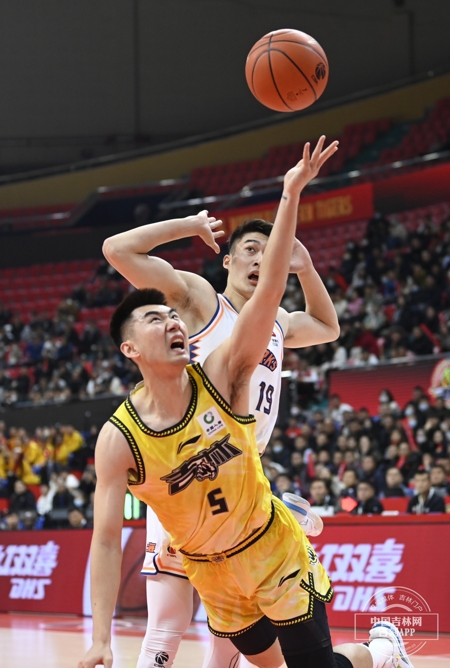吉林东北虎主场107-116不敌上海男篮
