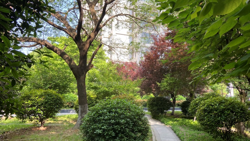 这才是真正的学霸房,实探经开区南艳湖旁的青年城1号!