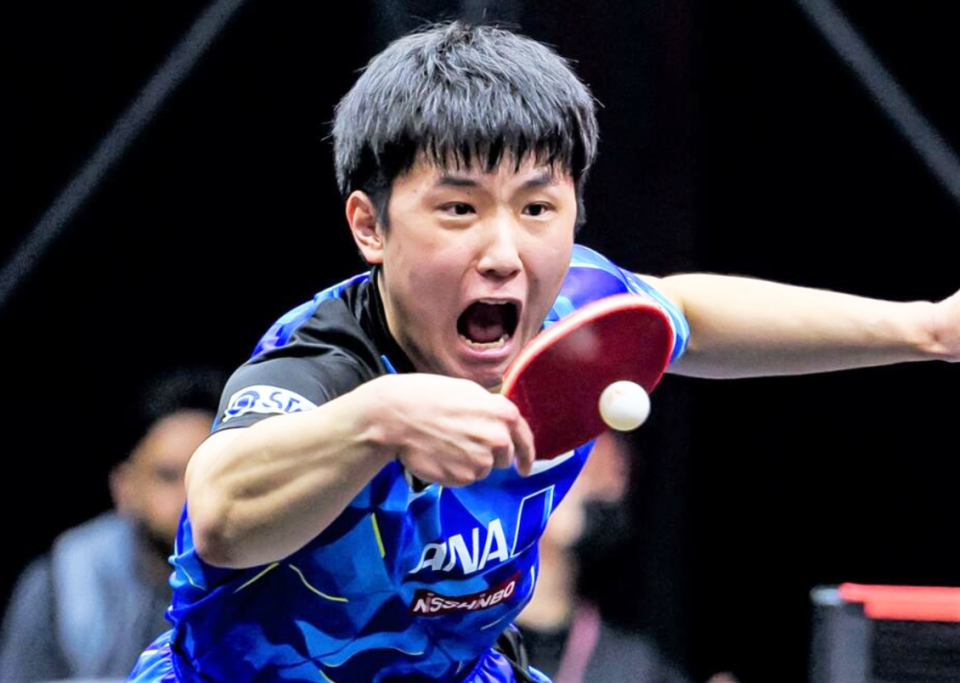 乒乓球星赛:男单签位公布,张本或遭遇勒布伦,首轮世界冠军大战