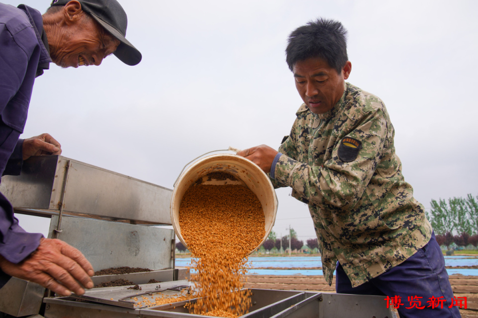 博览组图丨稻乡育秧忙