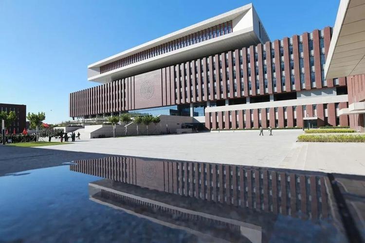 共招307人,厦门大学招生最多,清华大学,北京大学并列第二位