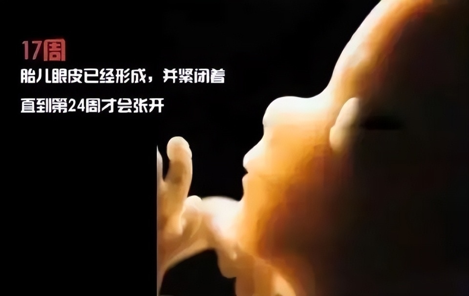 一个婴儿诞生的全过程，14张高清图带你了解，感叹新生命的力量_腾讯新闻