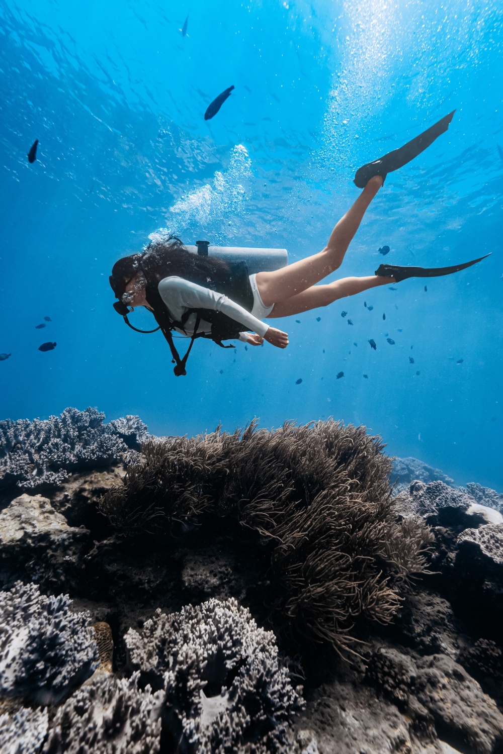 很多人推荐的三亚潜水点