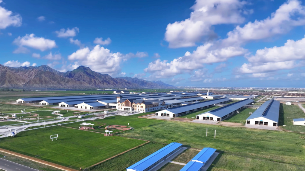 《敕勒歌》中内蒙古自治区土默特左旗的广阔大地上当漫步于大青山脚下