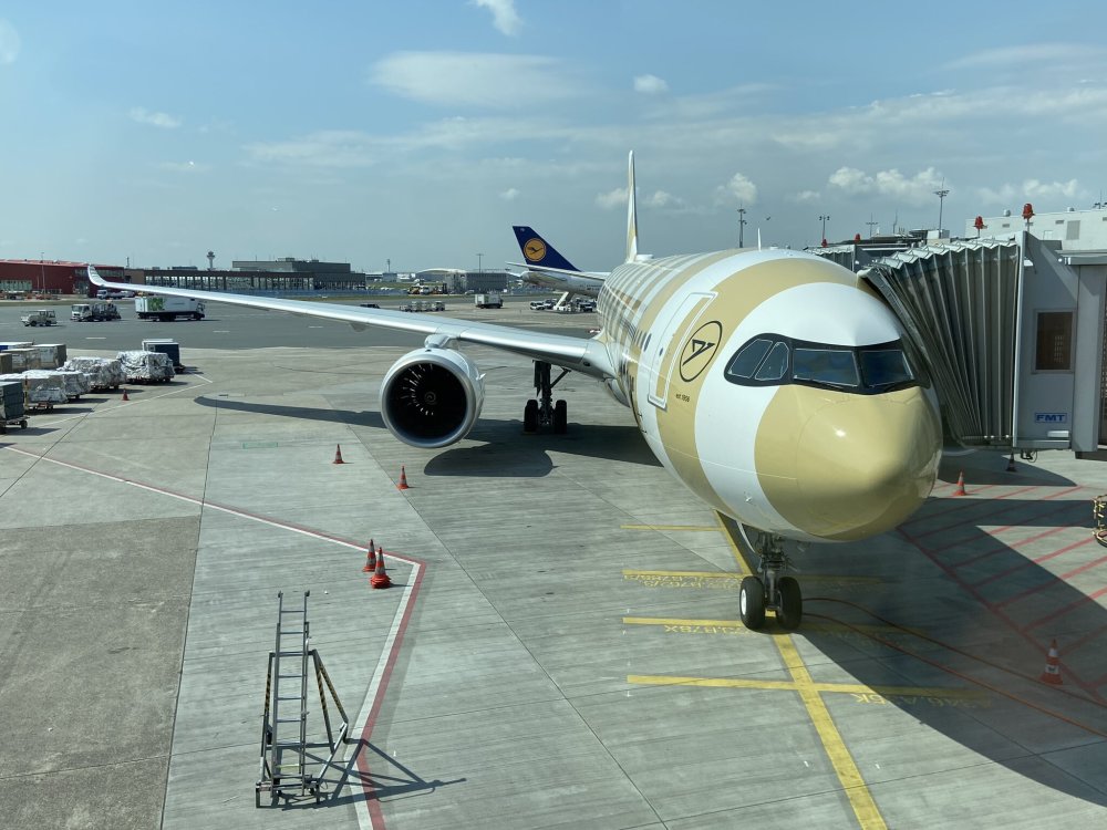 组图:神鹰航空公布新a330neo涂装和商务舱内饰_腾讯新闻