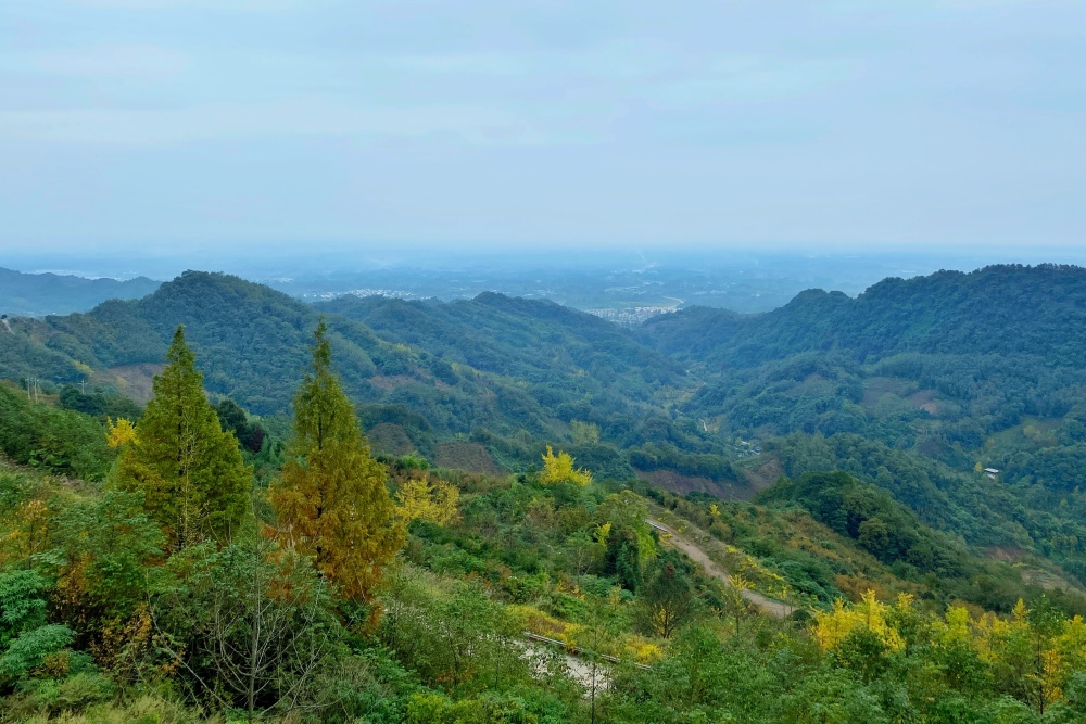 徒步崇州长老坪,深山野岭人迹罕至,热心的当地老人给我做向导