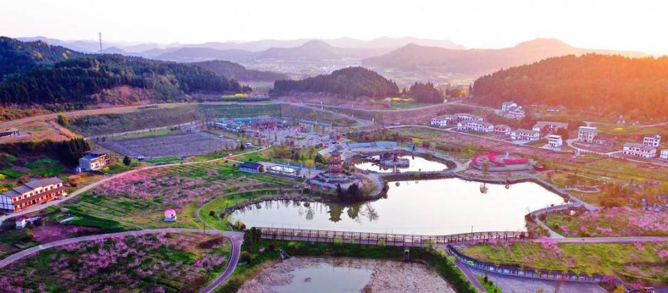 四川西充县破解花期限制赏花经济释放产业活力