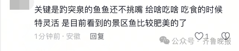 快手达人：新澳门资料免费资料大全-“再喂就嘎了！”趵突泉“猪鲤”开始减肥  第10张