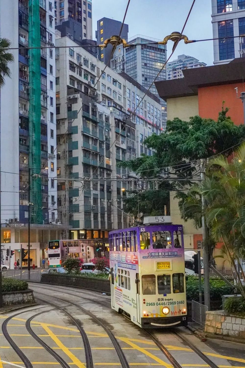 香港旅游越来越火了，我给你们盘点了7个香港旅游打卡地，走起！维密超模排名前302023已更新(头条/网易)