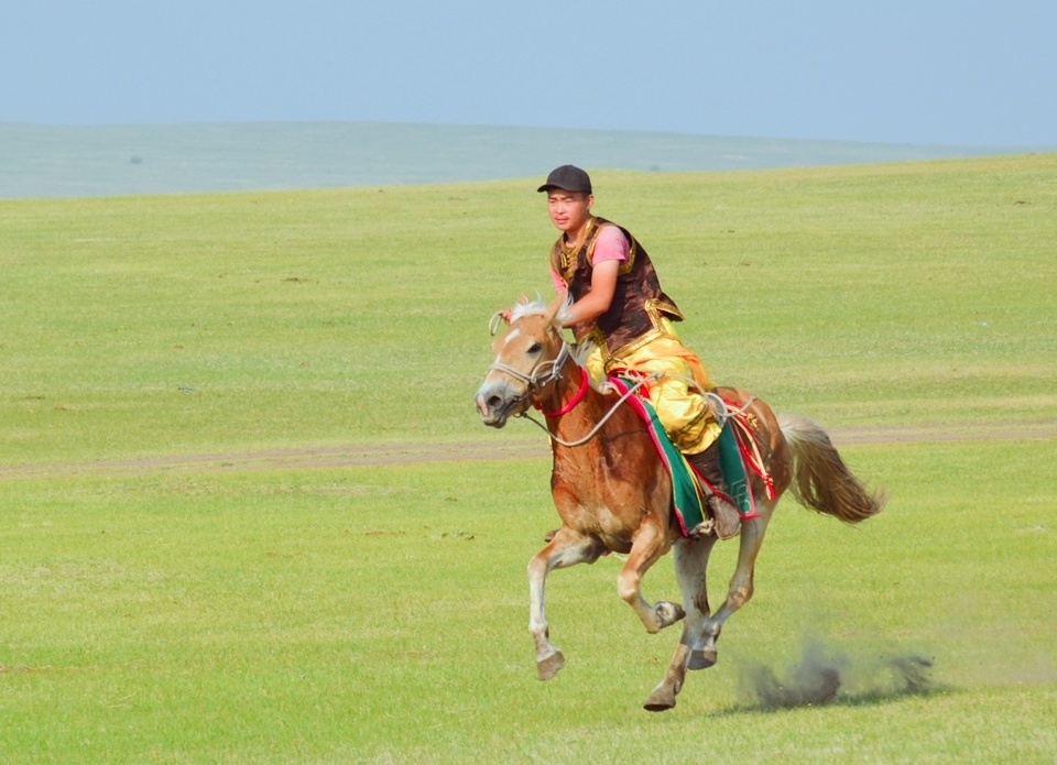 行摄大草原:马术绝技