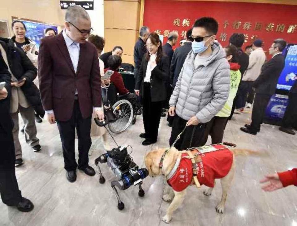 机器狗能成为导盲犬“平替”吗？专家：优势突出但非唯一选项_腾讯新闻