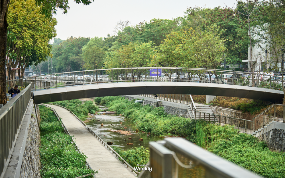 深圳最大的水库开放，还有一处冷门花海胜地_腾讯新闻