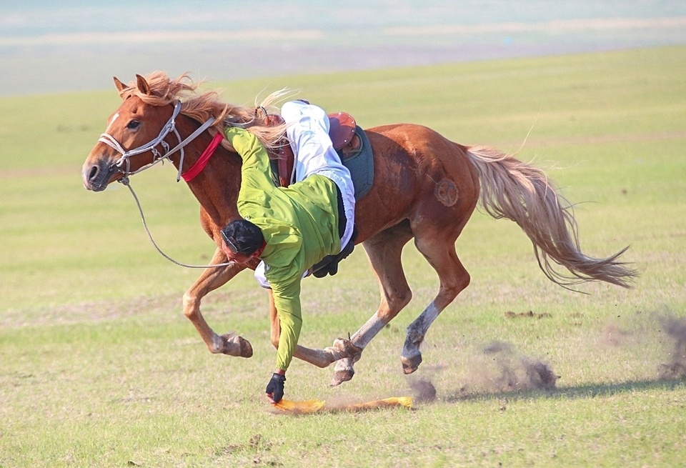行摄大草原:马术绝技