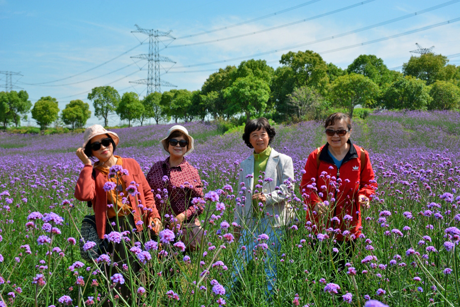 朱家角寻梦源,地处中国最美休闲乡村——张马村.我
