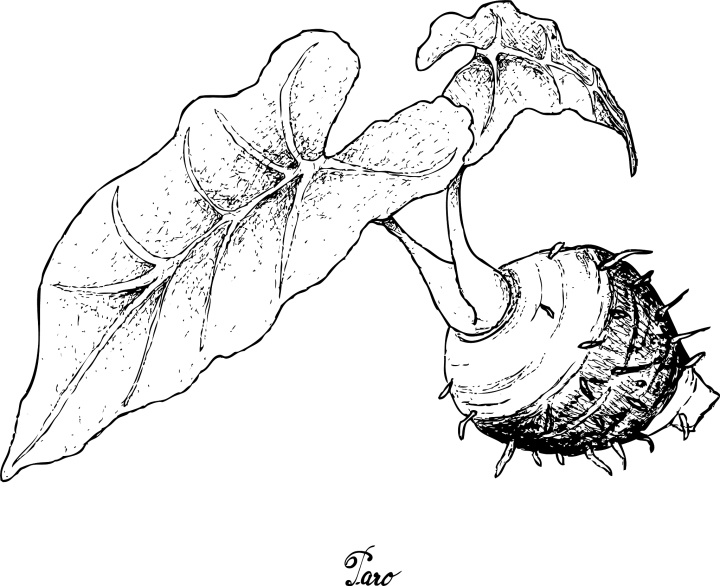 写点生活|香糯的芋艿_腾讯新闻