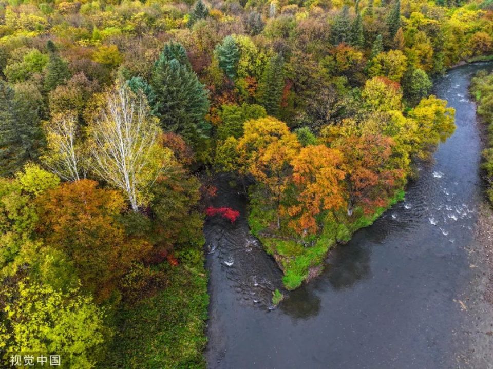 故事里的黑龙江丨伊春最美公路——乌带公路