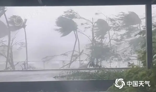 海口气象局硬核封门出圈,广西广东海南迎狂风暴雨